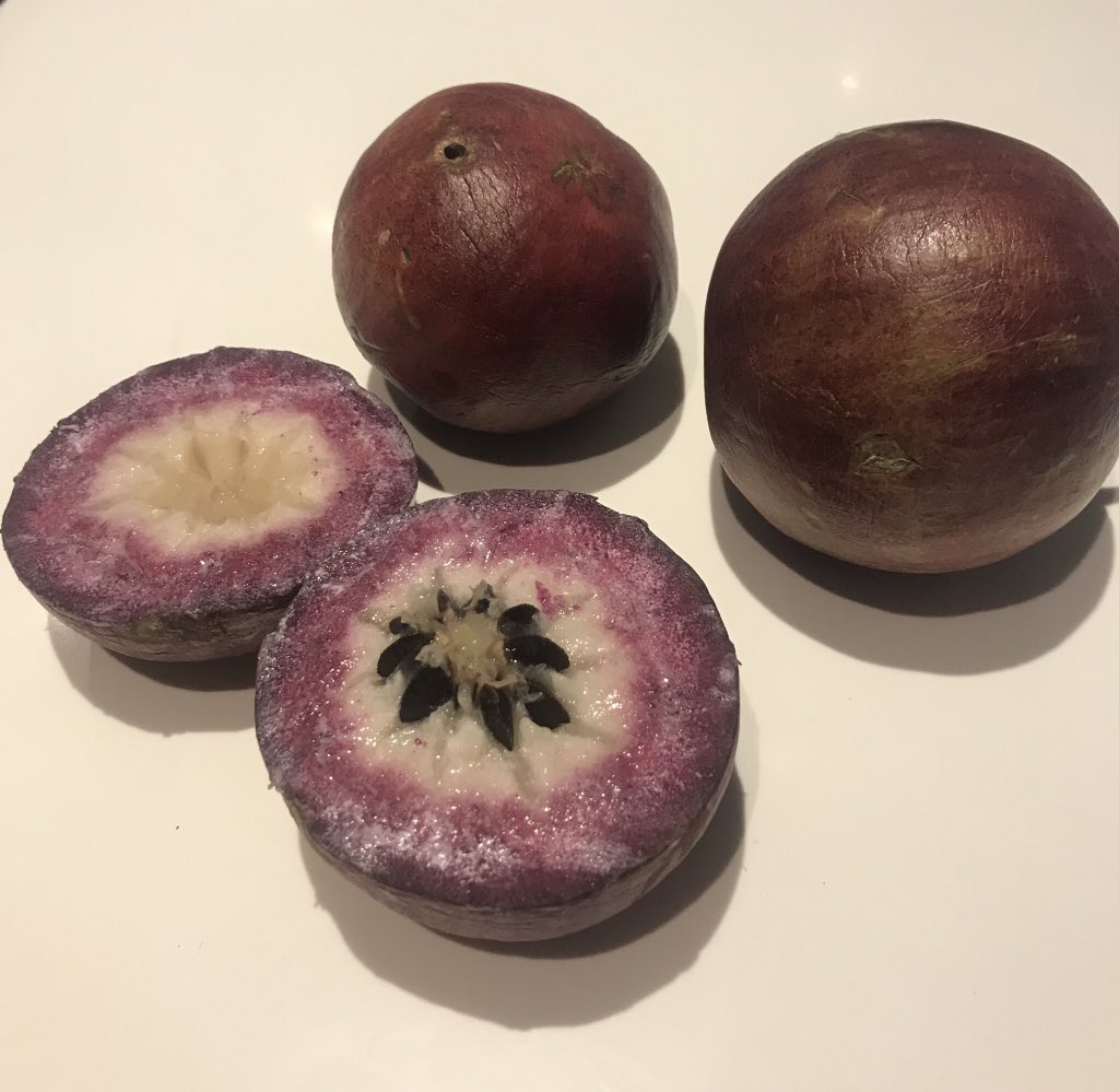 Purple caimito (star apple) fruit, cut open to show the white pulp and star-shaped seeds