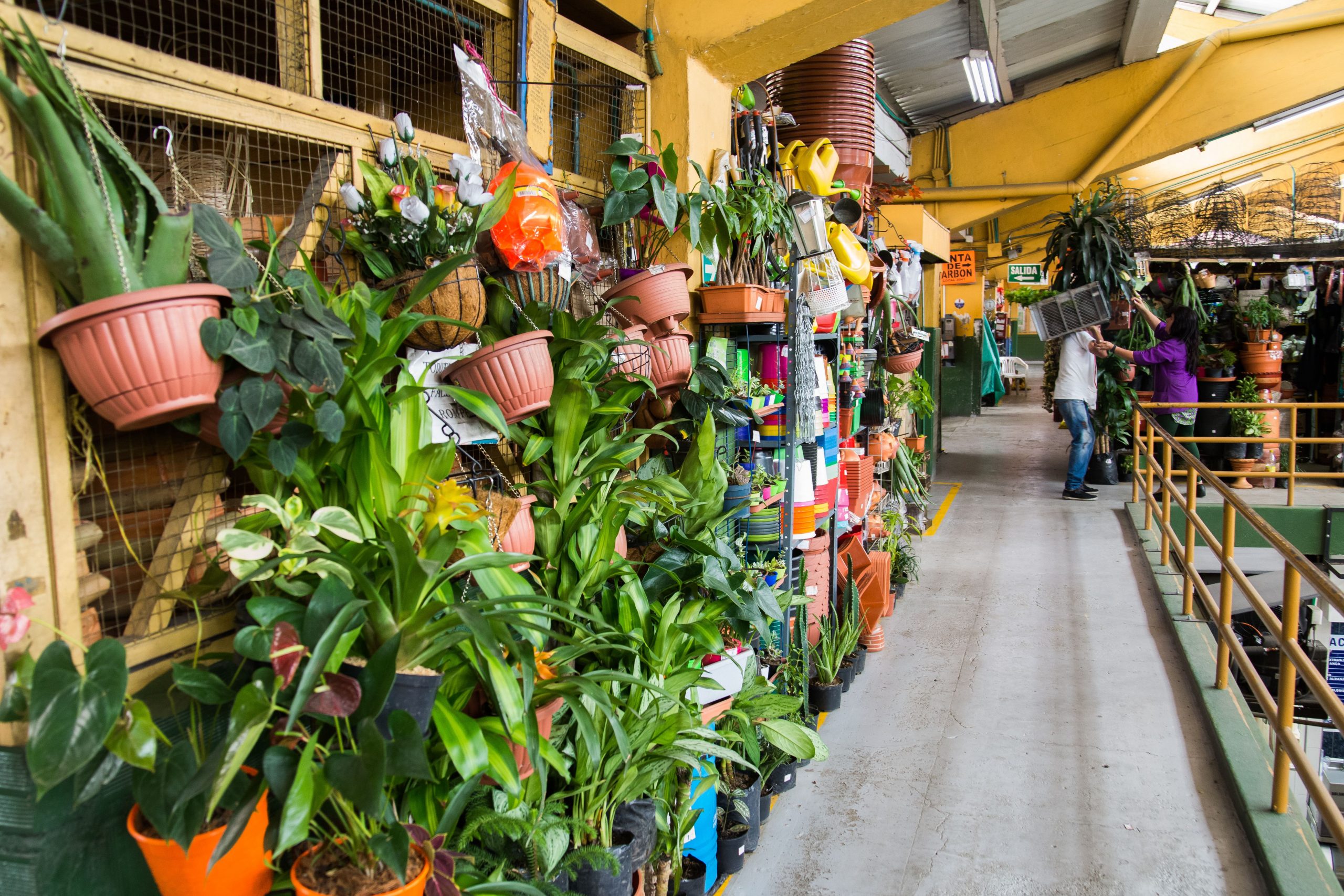 Centro Sin Filtro - Experience photo gallery 2