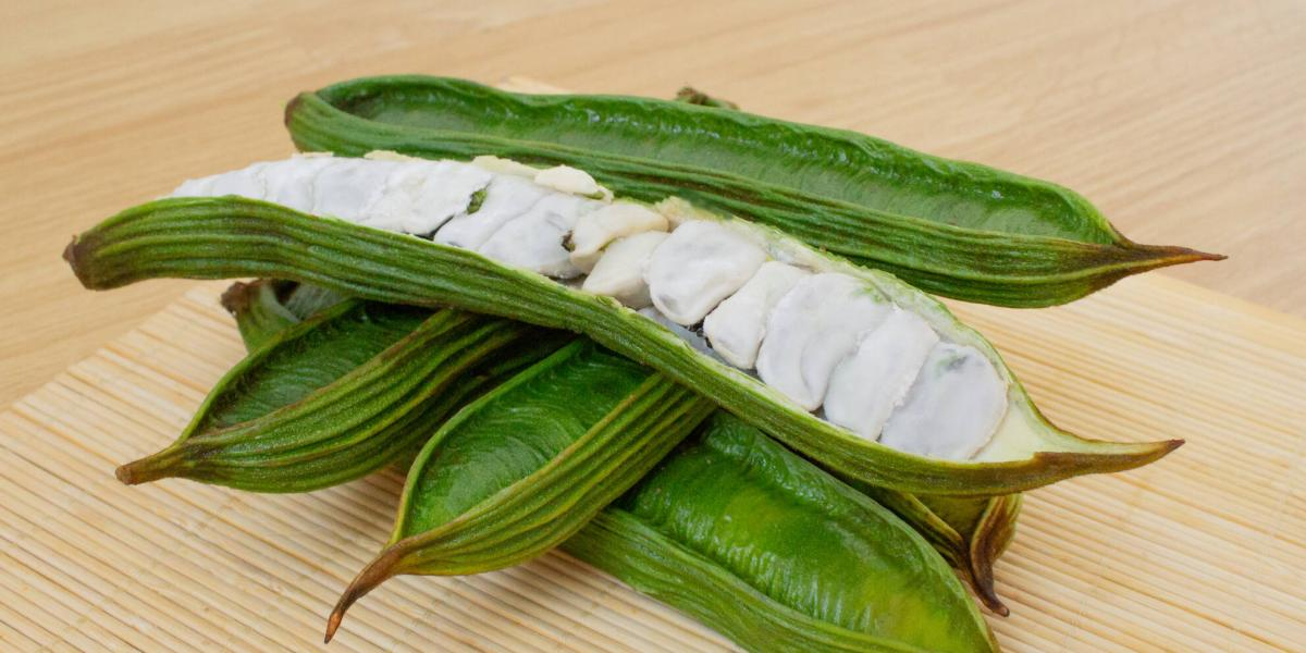 Fresh guama (ice cream bean) pods, one split open to reveal the white cottony pulp