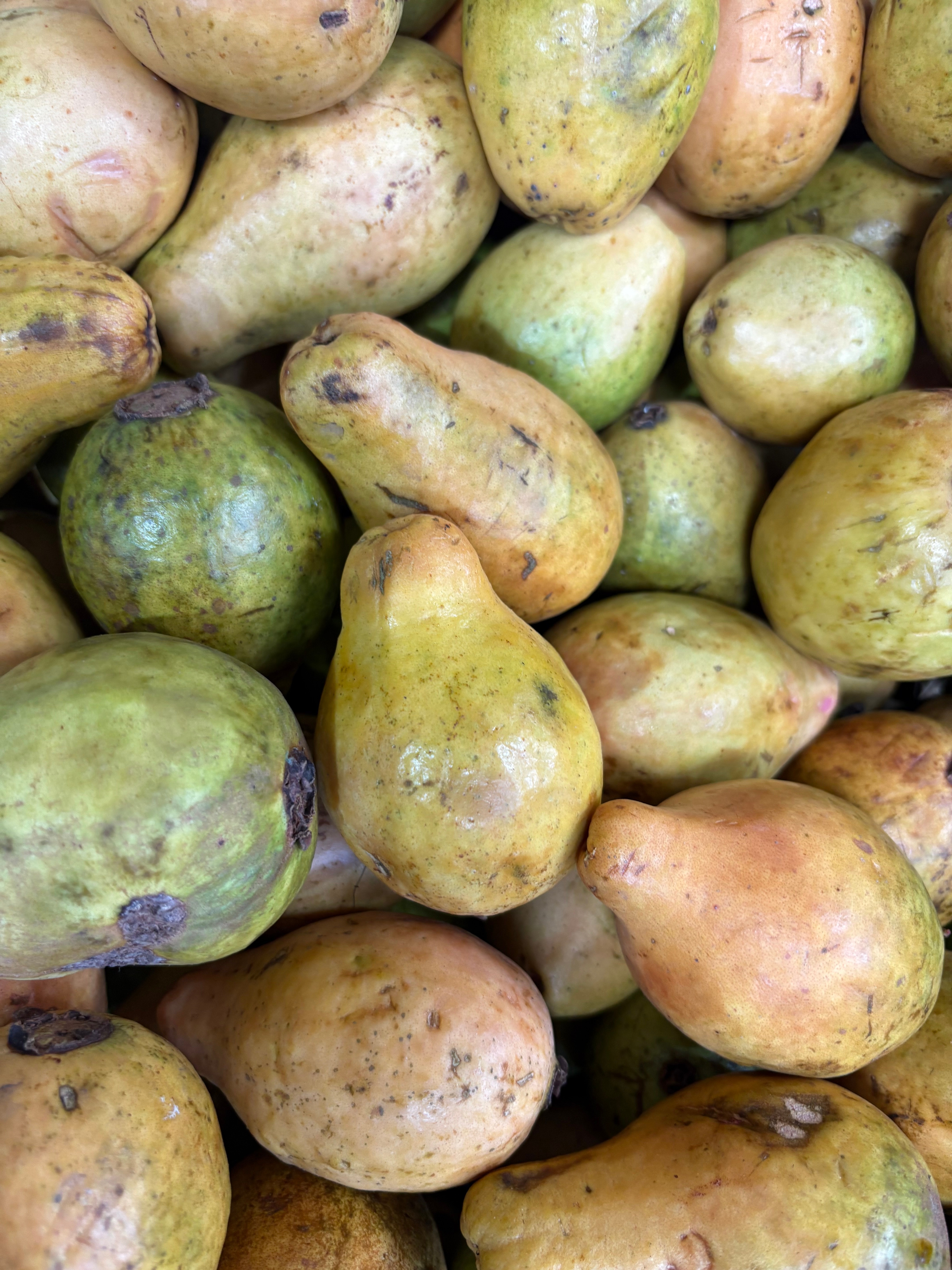 Camino del Viche - Experience photo gallery 3