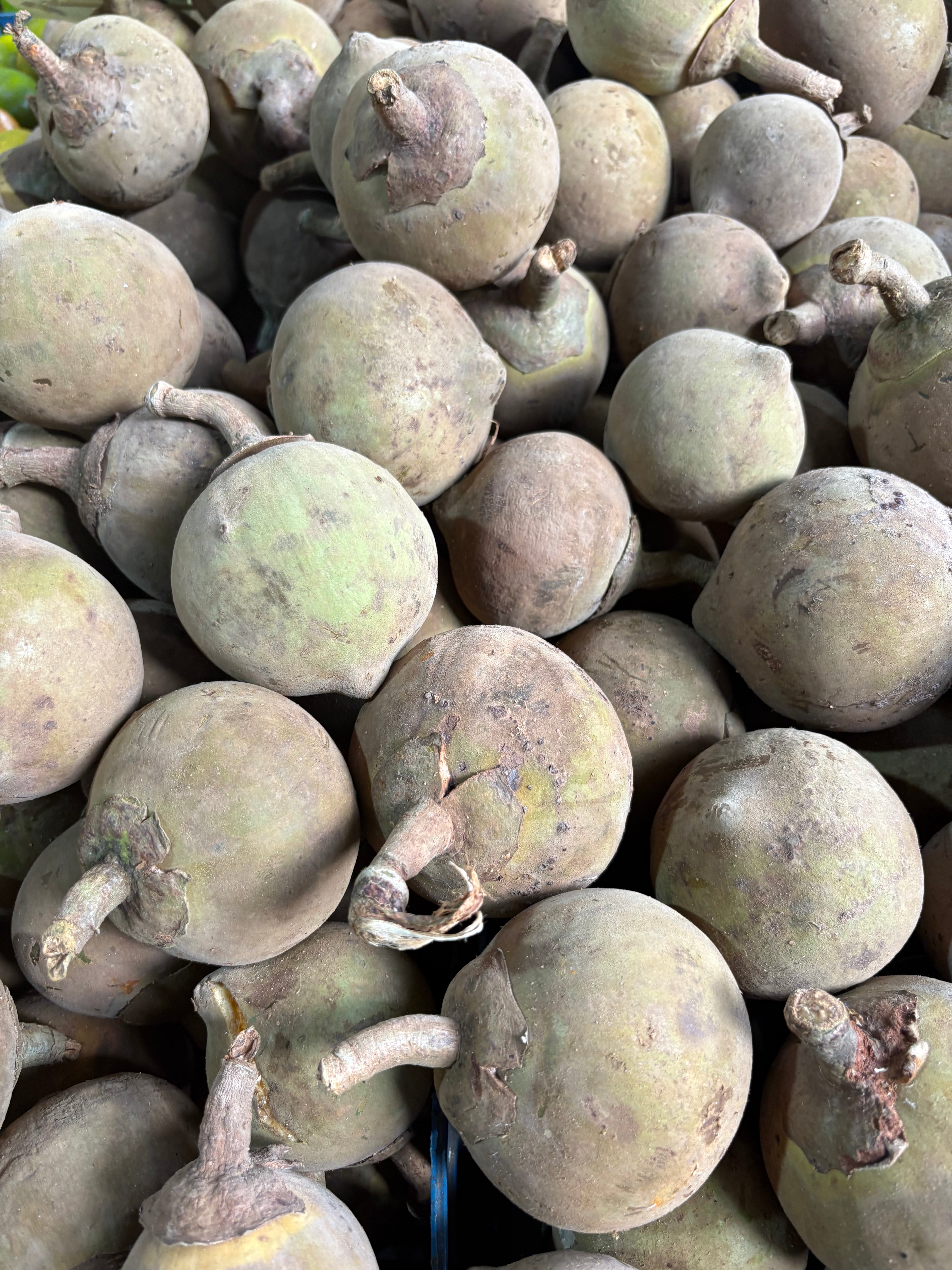 Afro Split Experience - Experience photo gallery 4