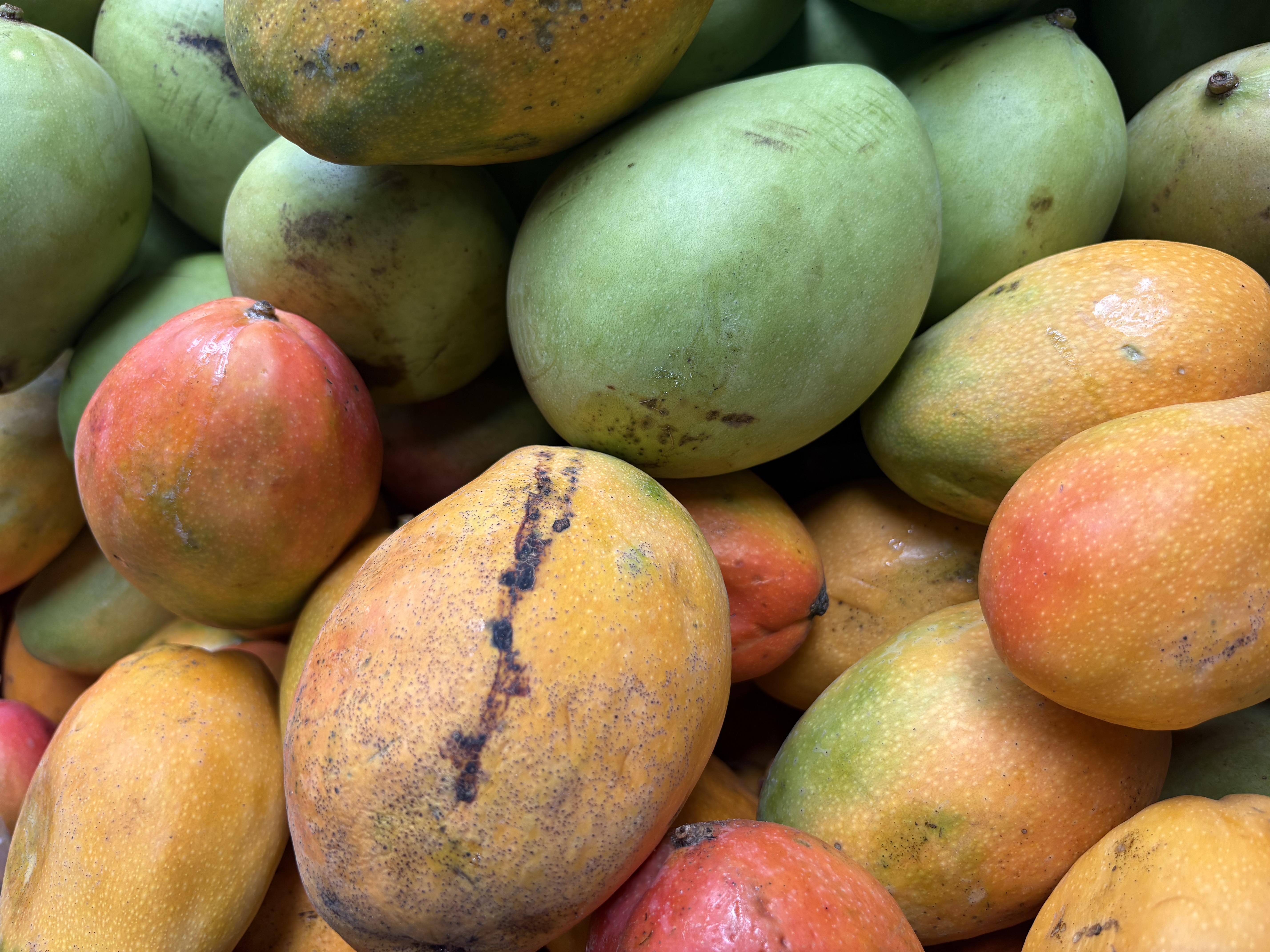 Hidden Flavors Experience - Experience photo gallery 1