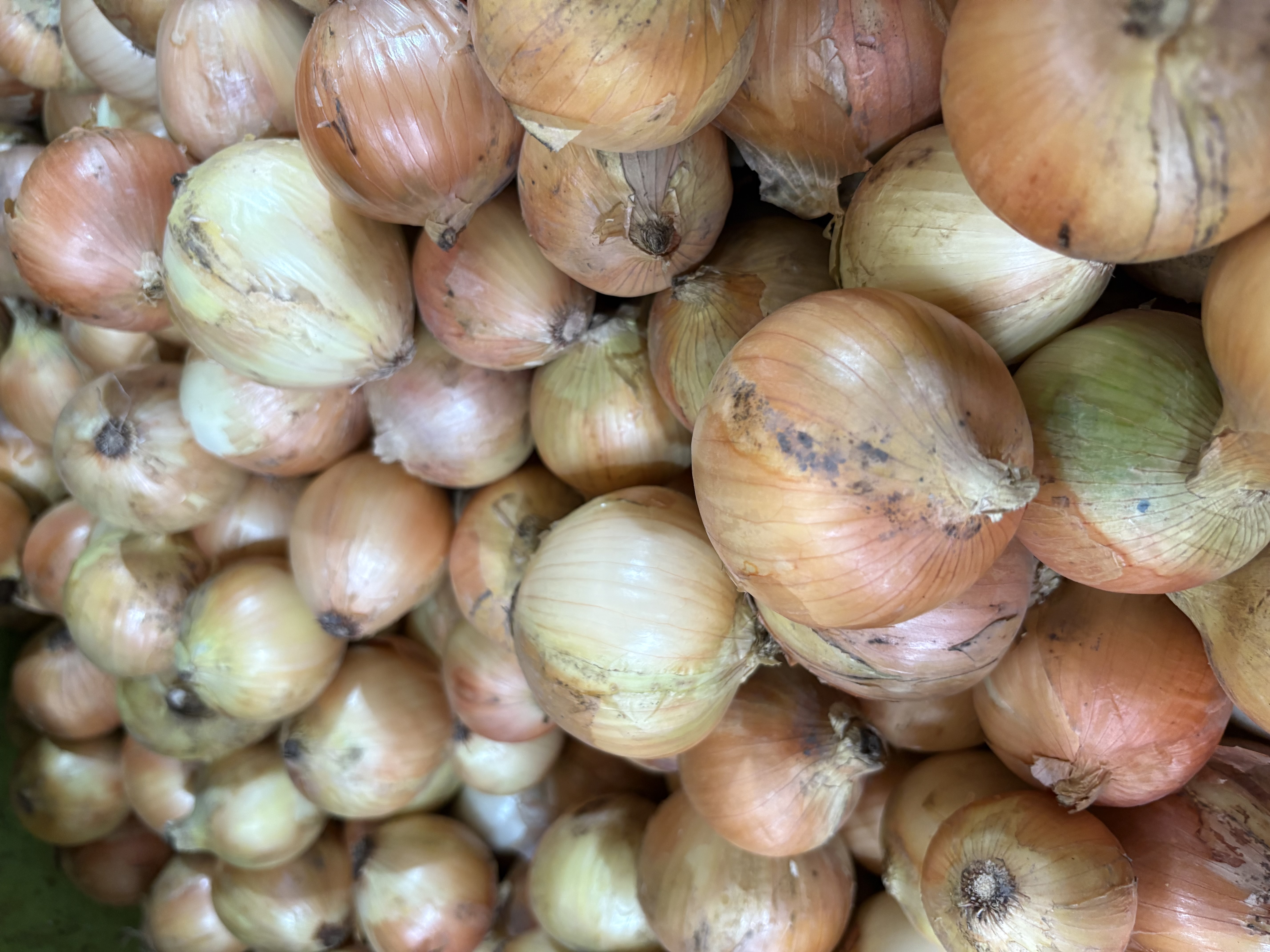 Hidden Flavors Experience - Experience photo gallery 2