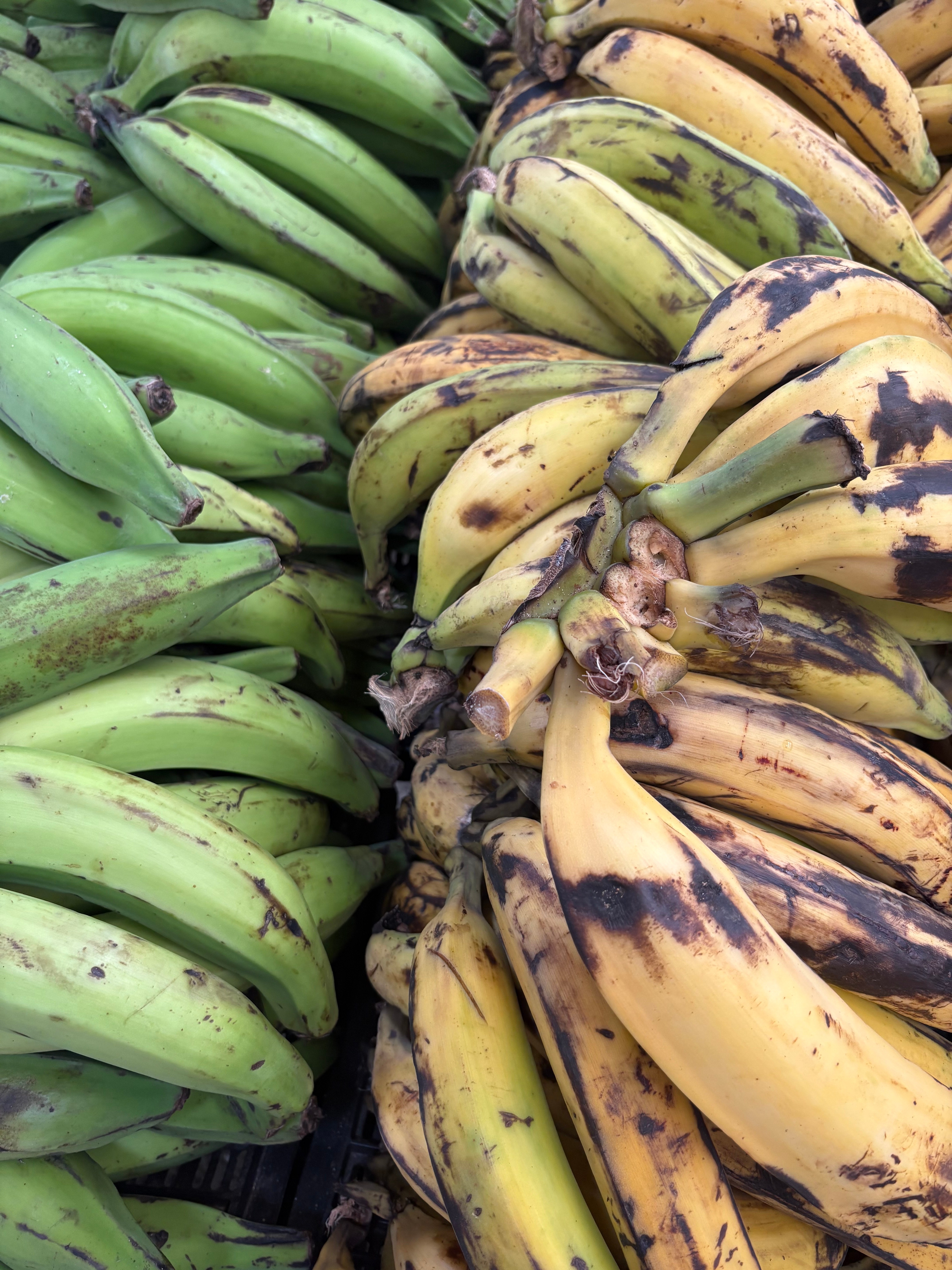 Vino + Vibras - Experience photo gallery 3