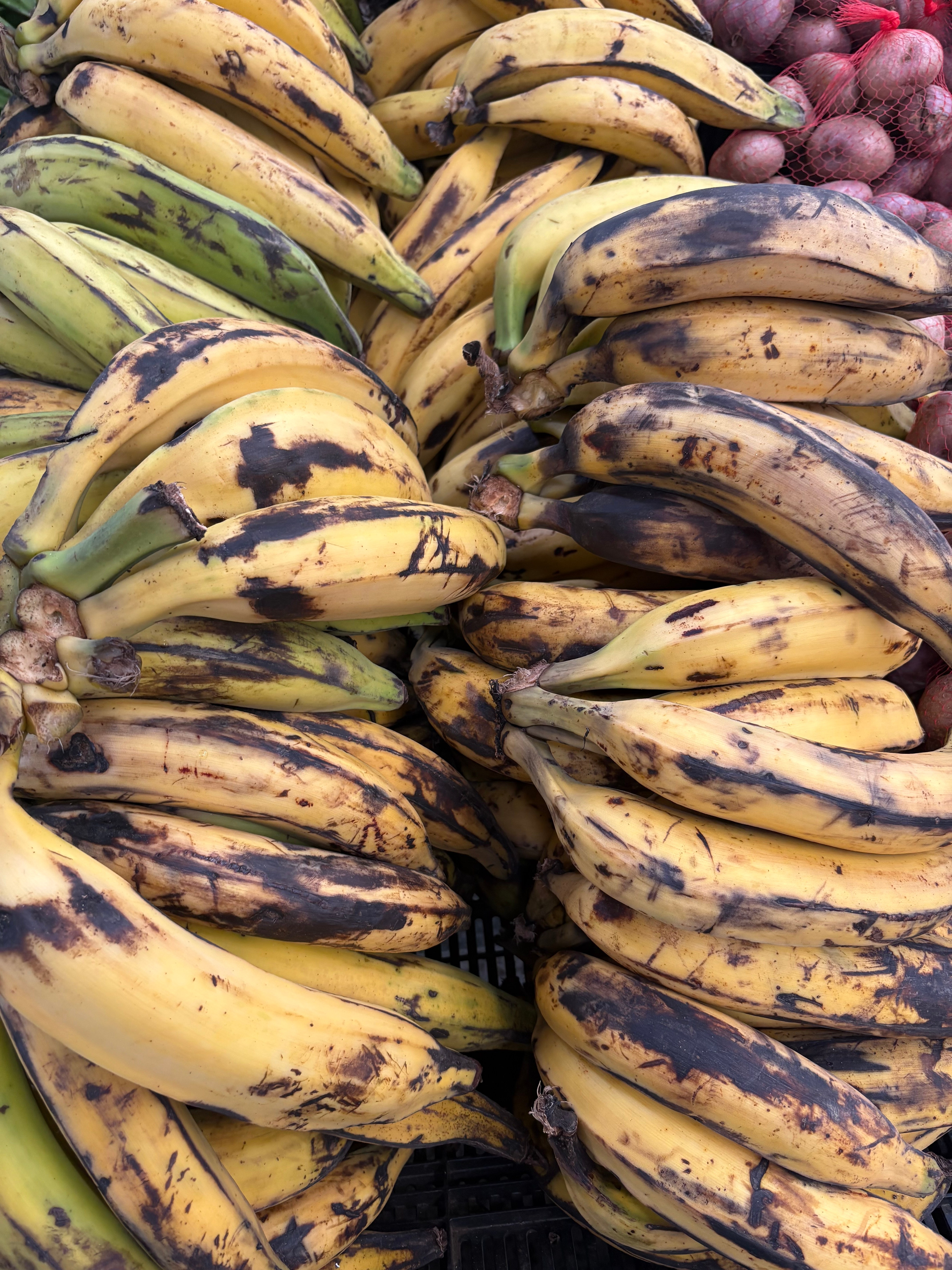 Camino del Viche - Experience photo gallery 2