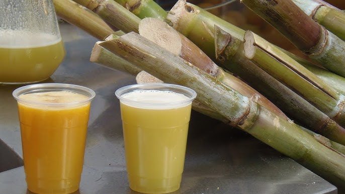 Centro Sin Filtro - Experience photo gallery 3