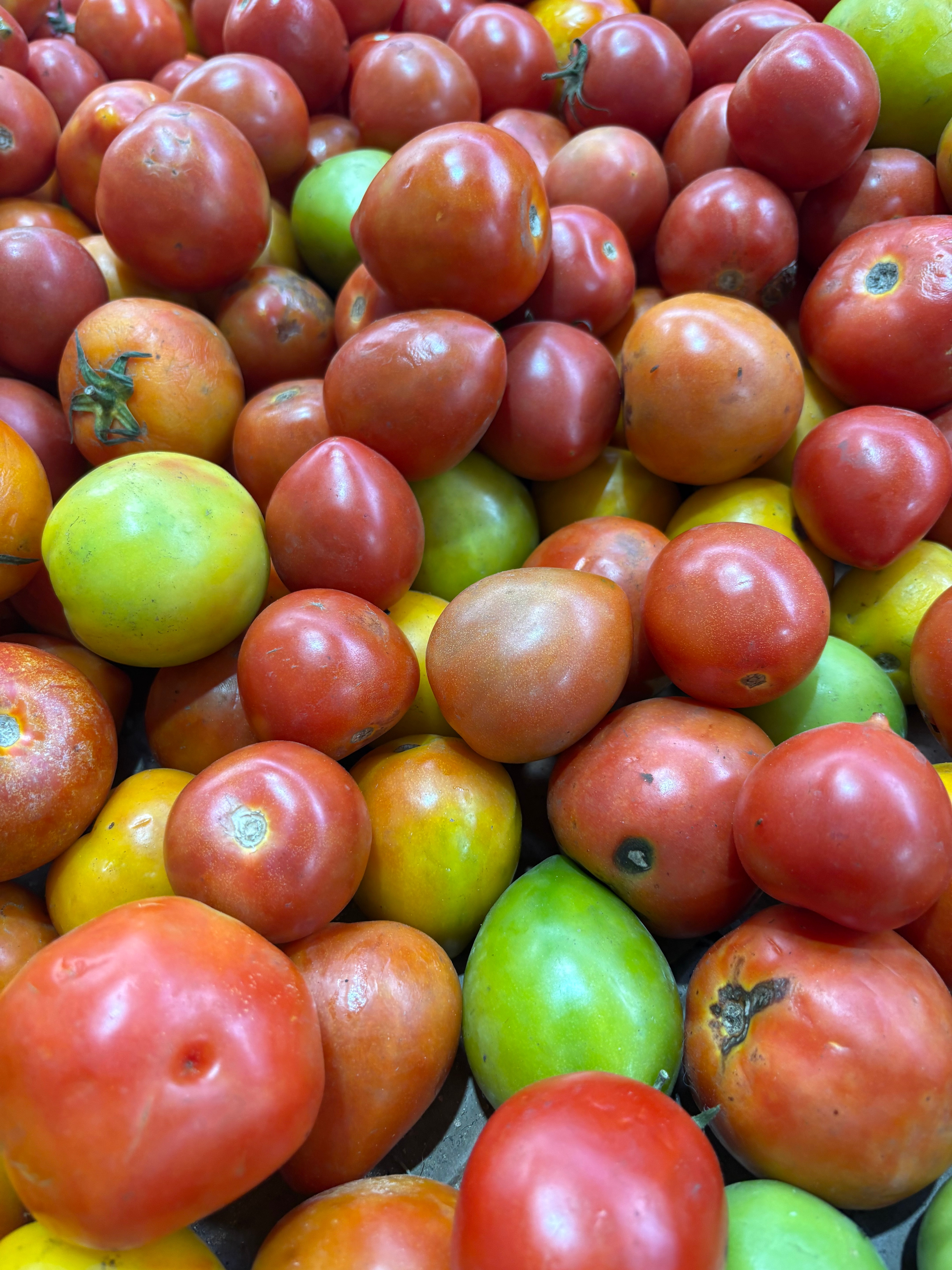 Afro Split Experience - Experience photo gallery 2